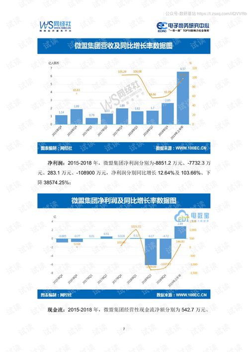 2019年新上市17家電子商務(wù)公司數(shù)據(jù)報告精品報告.pdf